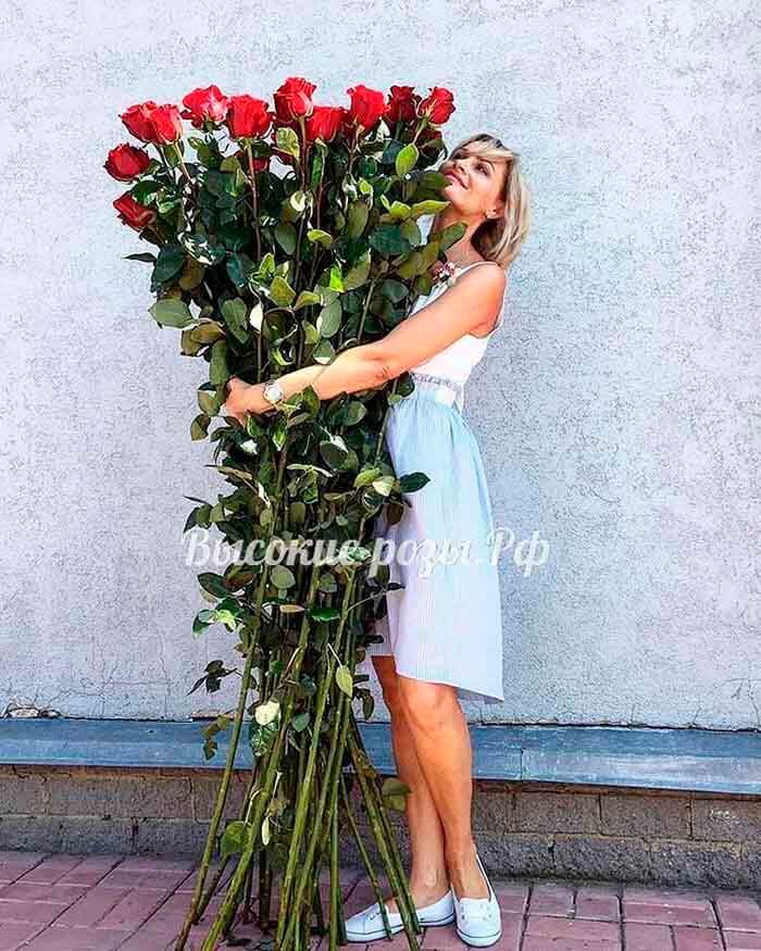 Розы 190 см