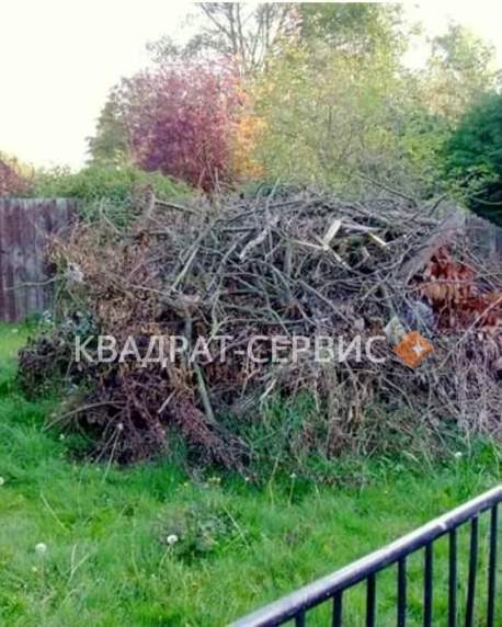 Спиленные деревья Спиленные деревья после уборки участка