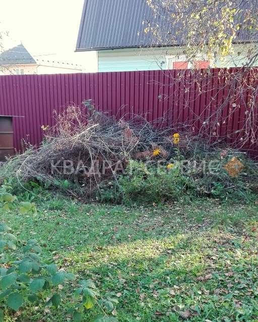 Старые ветки Старые ветки после расчистки участка