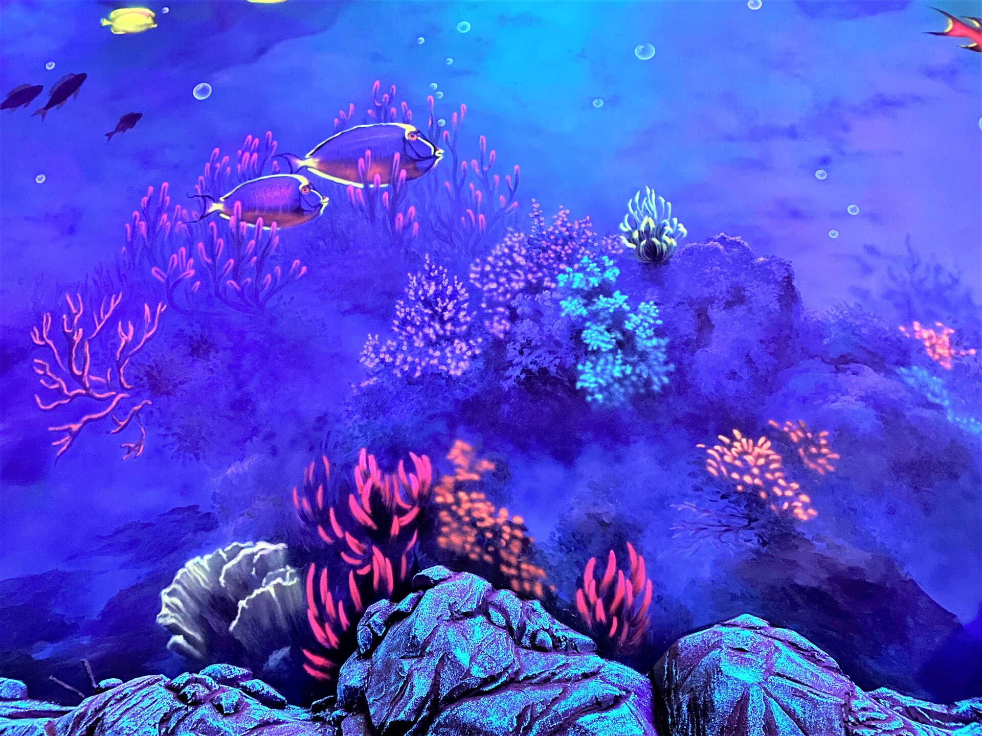 флуоресцентная роспись стен