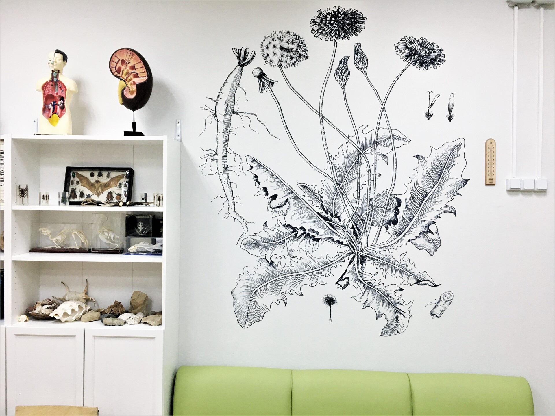 роспись стен в школе