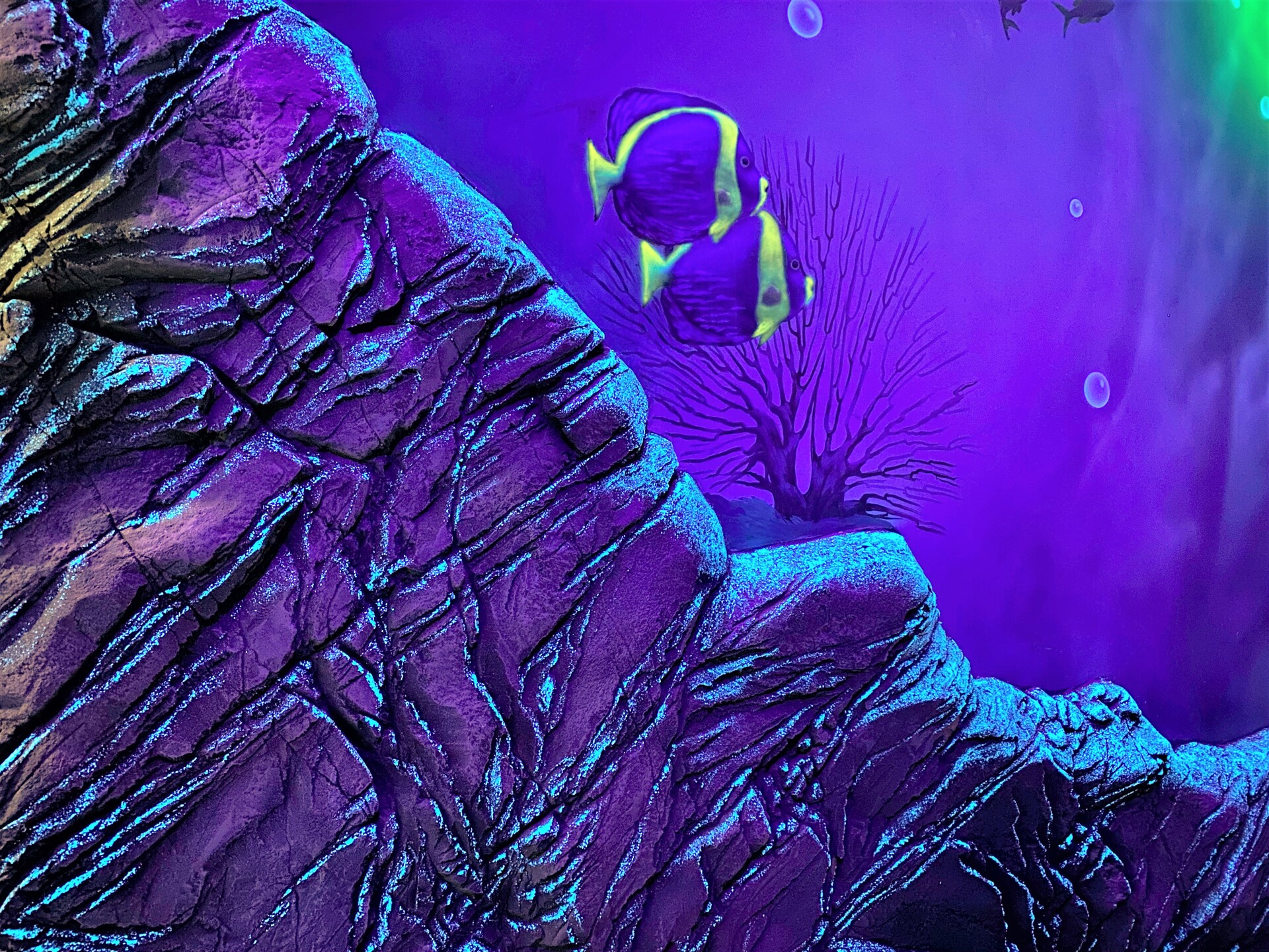 флуоресцентная роспись стен