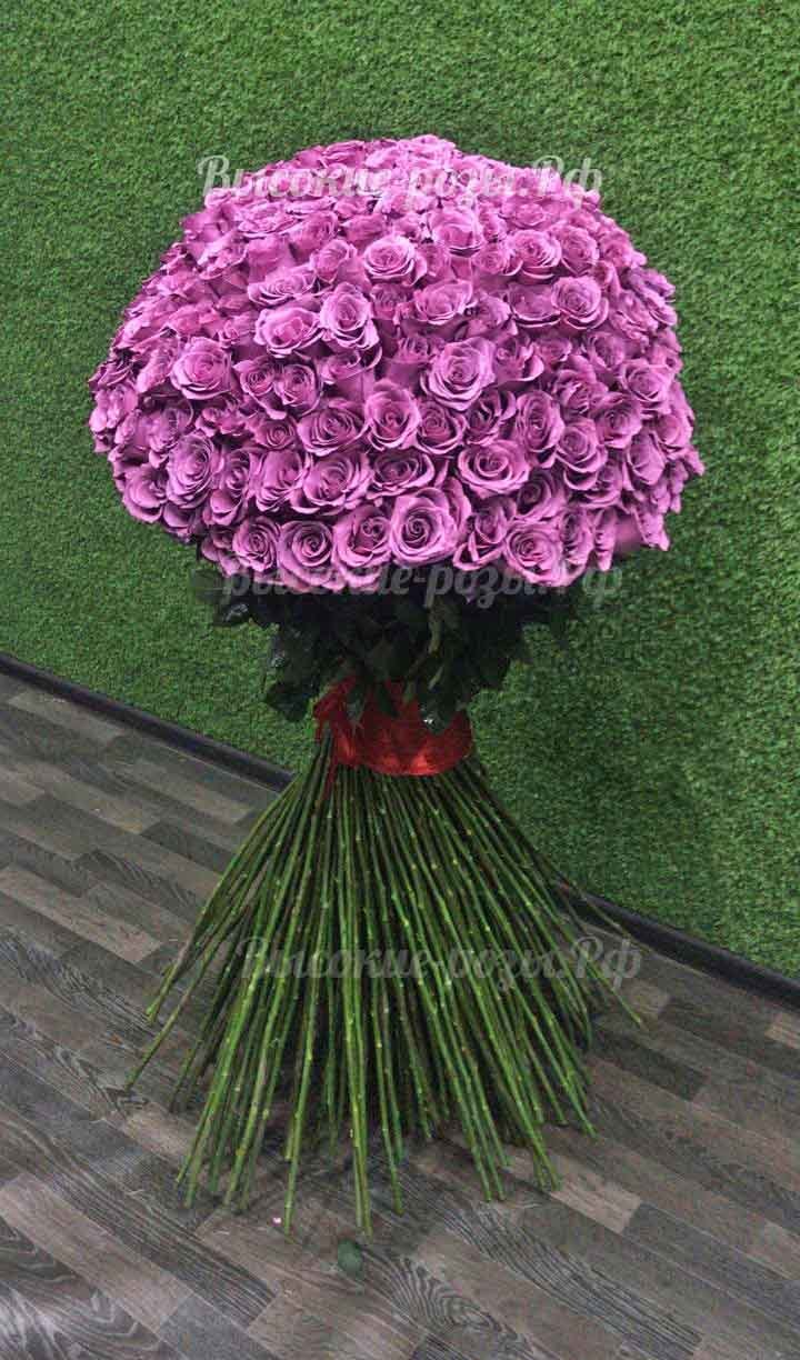 Розовые розы 140 см - 301 штука