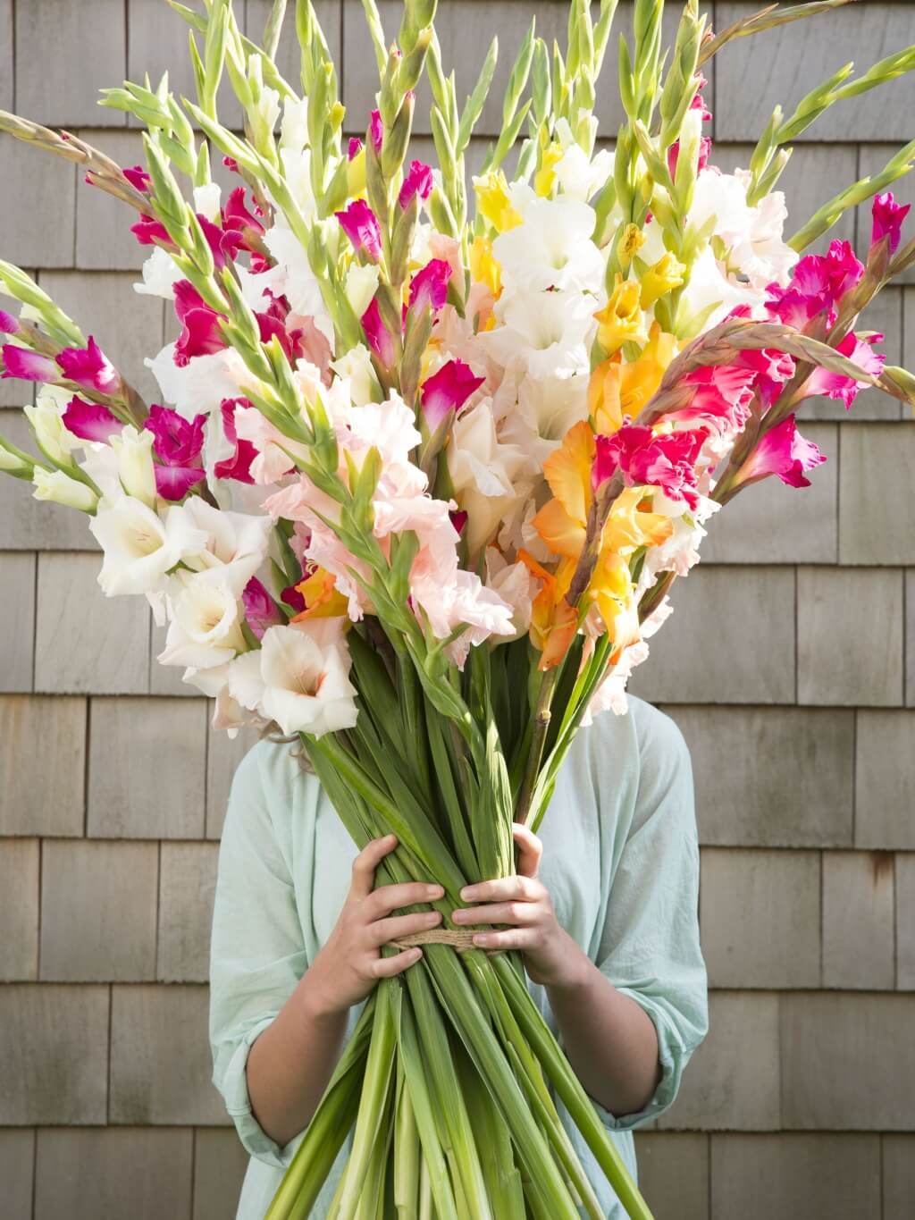 Доставка цветов в москве гладиолусы большой набор фломастеров 100 цветов купить