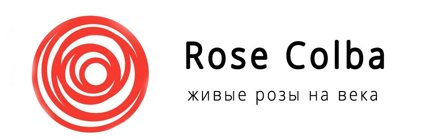 Rose-colba.ru Логотип