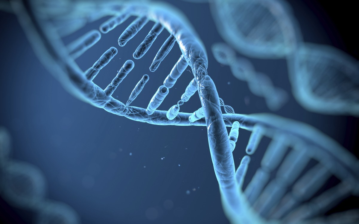 ДНК экспертизы. Определение отцовства