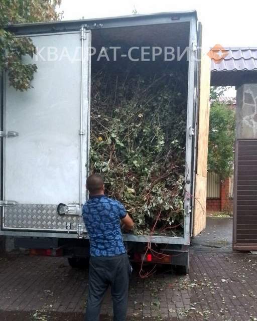 Обрезки веток и деревянные остатки после расчистки