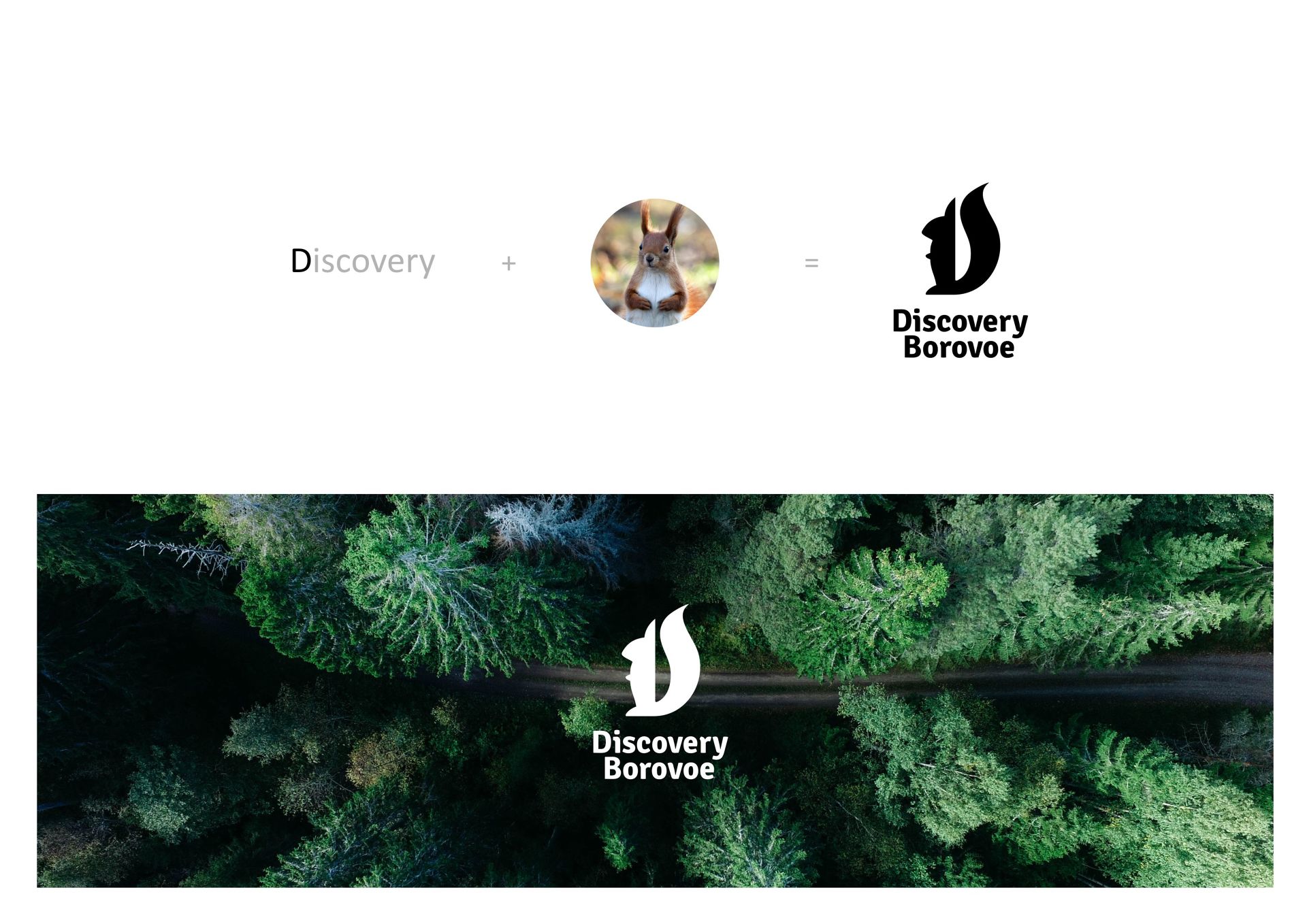 Разработка фирменного стиля Discovery Borovoe