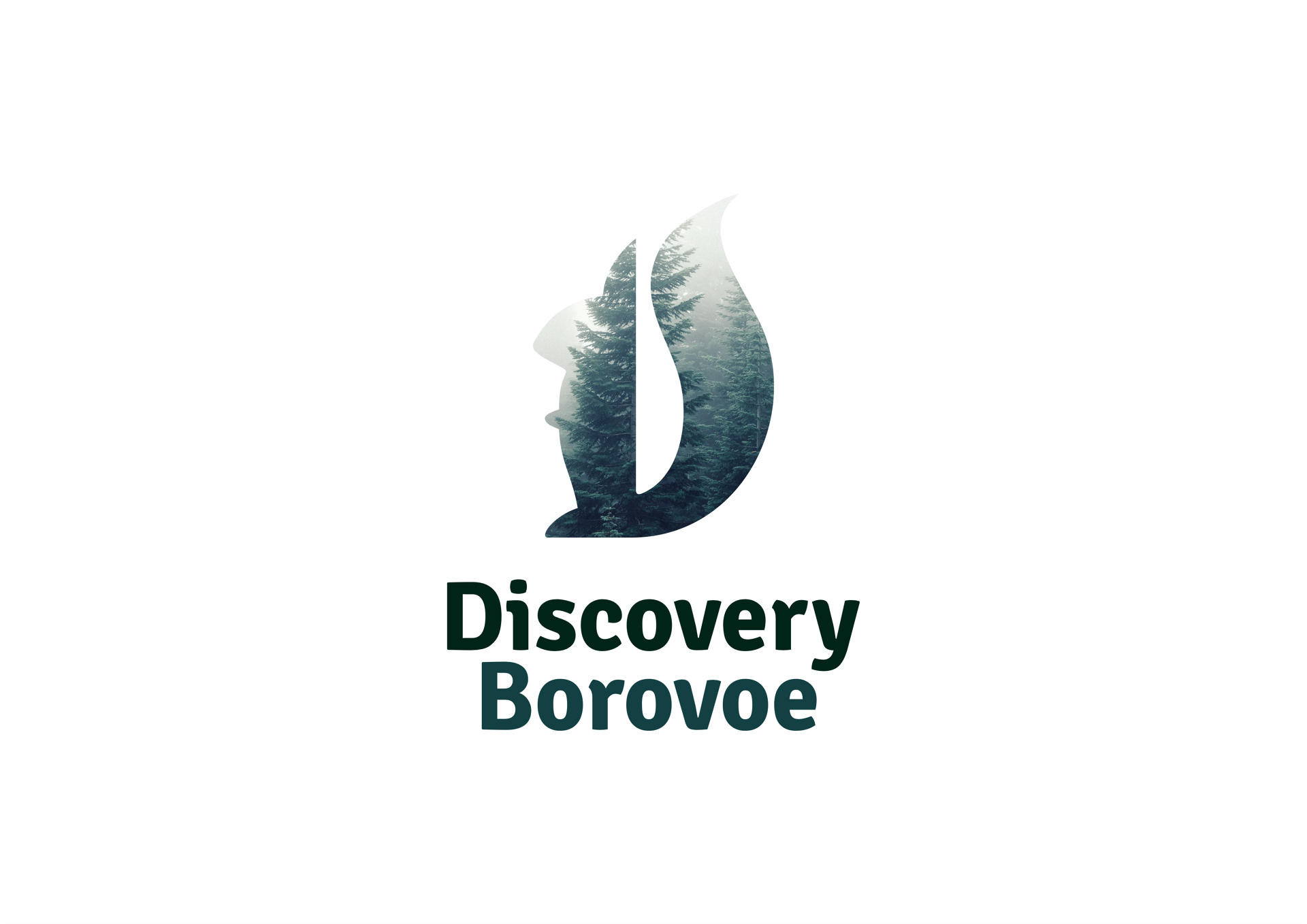Разработка фирменного стиля Discovery Borovoe