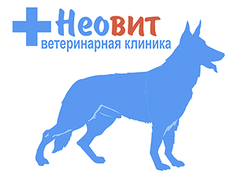 Ветеринарная клиника Неовит